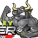 Bullyliner